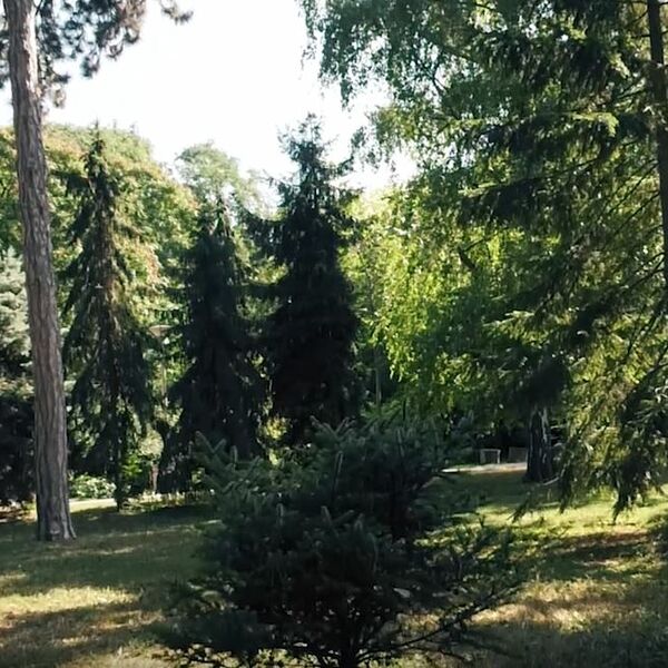 ZNAČAJAN JUBILEJ BOTANIČKE BAŠTE: Beograd 130 godina s ponosom čuva „Jevremevac“