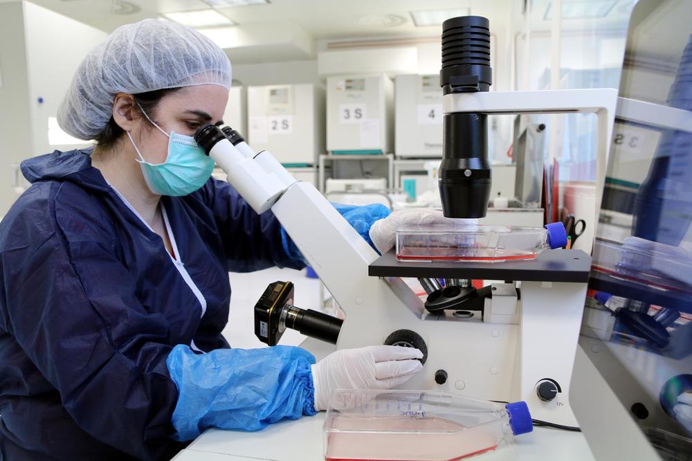 13.000 UZORAKA JE IZ SRBIJE! Nastavlja se afera sa MATIČNIM ĆELIJAMA, zna se GDE ĆE IH POSLATI