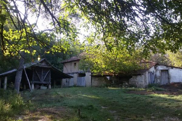 MASAKR KAKAV SRBIJA NE PAMTI: Uhapsili su je zbog JEZIVIH STVARI KOJE JE RADILA!