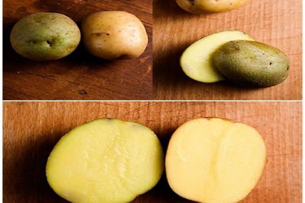 KONZUMIRANJE KROMPIRA SE STROGO ZABRANJUJE 1 GRUPI LJUDI: RAZLOG će vas DOTUĆI