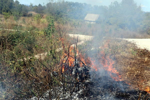 DA LI SU OVI LJUDI NORMALNI: Palili rastinje po Žablju pa izazvali požar, vatrogasci ga gasili preko sat vremena