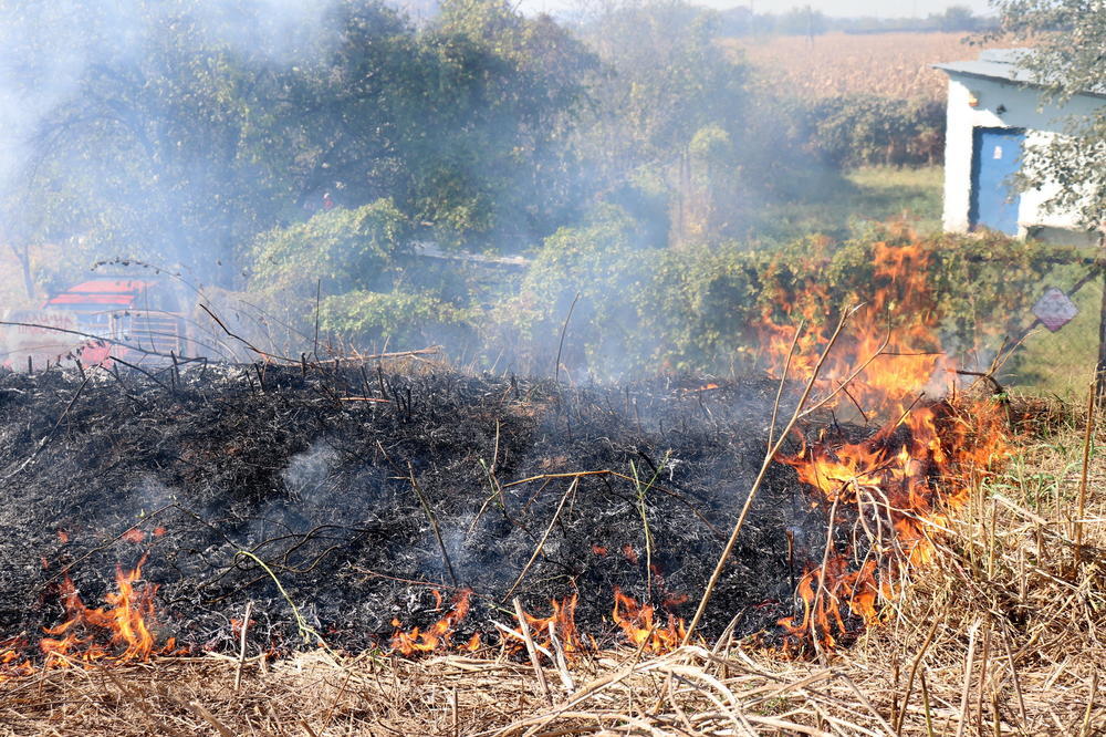 NOVE VESTI SA STARE PLANINE: Vatrogasci su usmerili vatru, borba je HEROJSKA!