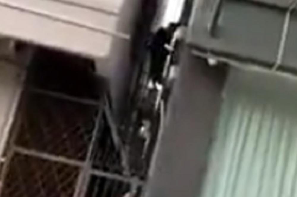 LOPOV SPAJDERMEN PROTIV 20 LJUTIH OSVETNIKA: Bežao je kao MAČKA, ali KAD SU GA UHVATILI... (VIDEO)