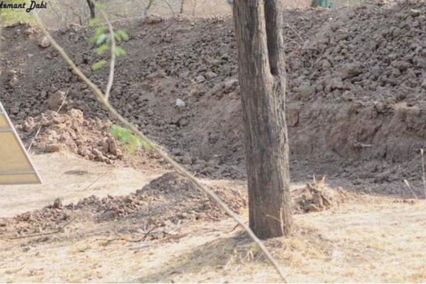 VRIŠTI, ALI NIKO NE MOŽE DA POGODI! Slika koja izluđuje ljude na internetu! VIDITE LI LEOPARDA NA FOTKI? (FOTO)