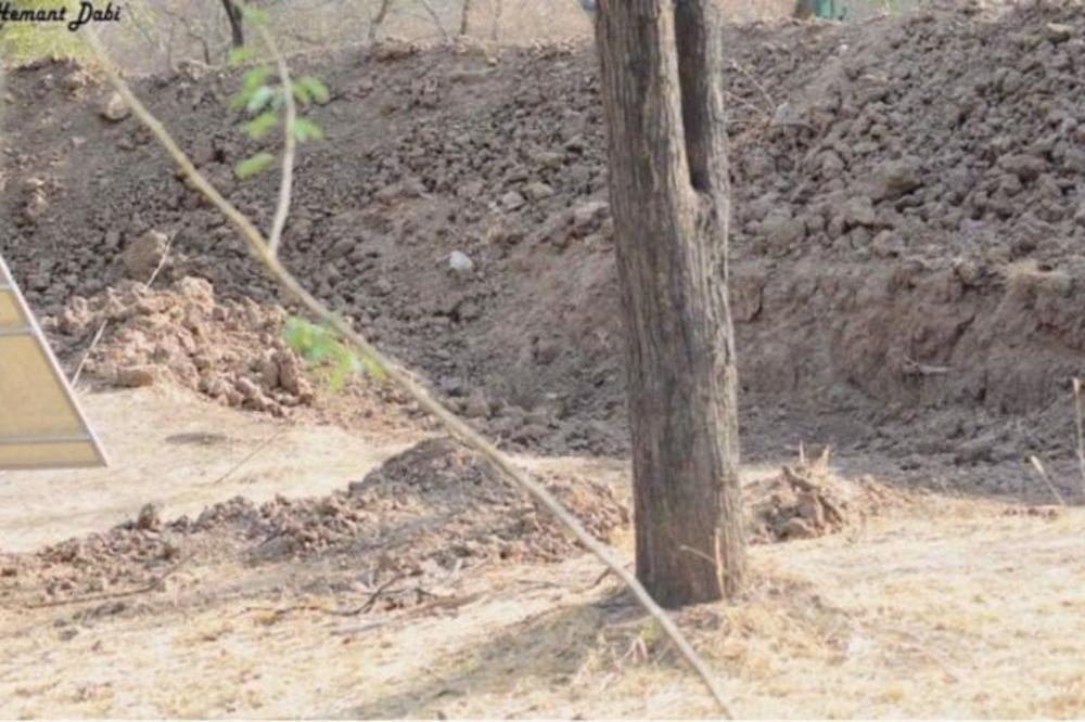 VRIŠTI, ALI NIKO NE MOŽE DA POGODI! Slika koja izluđuje ljude na internetu! VIDITE LI LEOPARDA NA FOTKI? (FOTO)