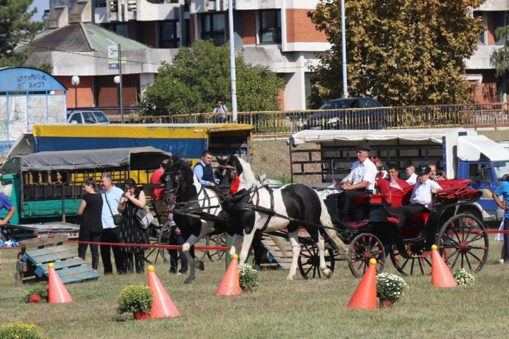 U OBRENOVCU JE BILO VESELO: Na fijakerijadi ljudi su mogli da vide OVO