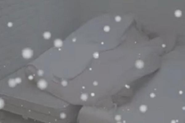 MINA I TOMOVIĆ AKCIJALI U IZOLACIJI: Đetić je PLJESKAO, ona tražila JOŠ! Sve ODJEKIVALO od njenih UZDAHA!