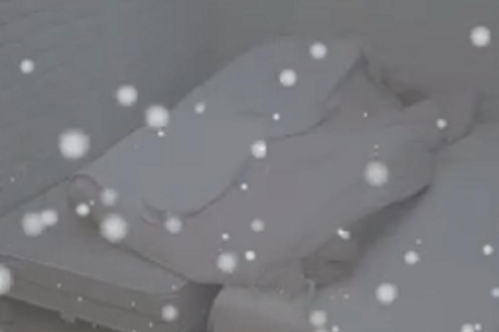 MINA I TOMOVIĆ AKCIJALI U IZOLACIJI: Đetić je PLJESKAO, ona tražila JOŠ! Sve ODJEKIVALO od njenih UZDAHA!