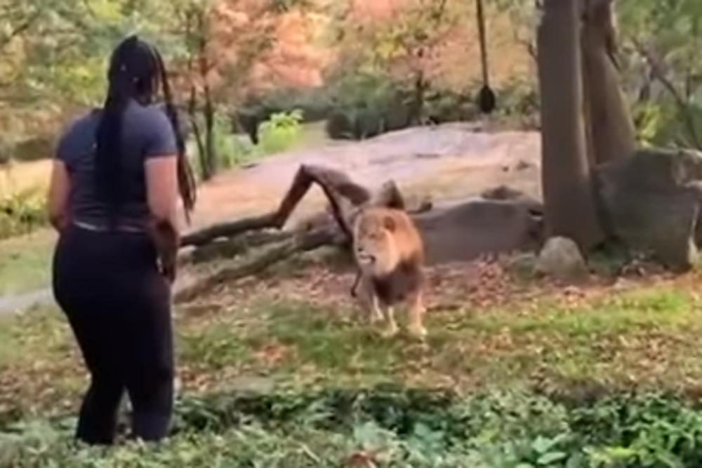 NAMERNO UŠLA U LAVLJI KAVEZ I URADILA NEŠTO NEVEROVATNO: Ljudi gledaju ovaj snimak i ne veruju! (VIDEO)