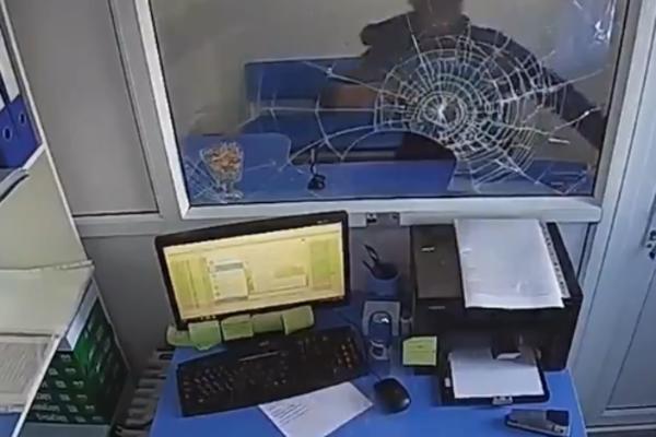 PESNICOM UDARAO STAKLO DOK NIJE PUKLO! Pomahnitali LOPOV preplašio radnicu, PROŠAO KROZ ŠALTER, a ovako se završilo