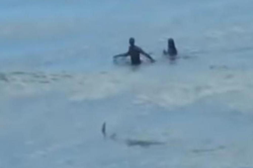 SNIMLJEN NAPAD AJKULE: Kupali su se a pored njih je IZRONILA NEMAN! (VIDEO)