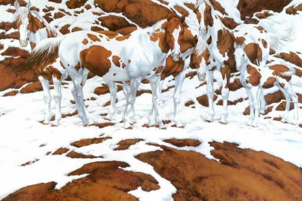 KOLIKO KONJA IMA NA SLICI? Mnogi muku muče da ih prebroje, MOŽETE LI VI?