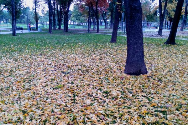 VREME NAREDNIH DANA POTPUNO LUDILO! Jutra LEDENA, popodneva TOPLIJA - ali se kiša vraća OVOG DANA