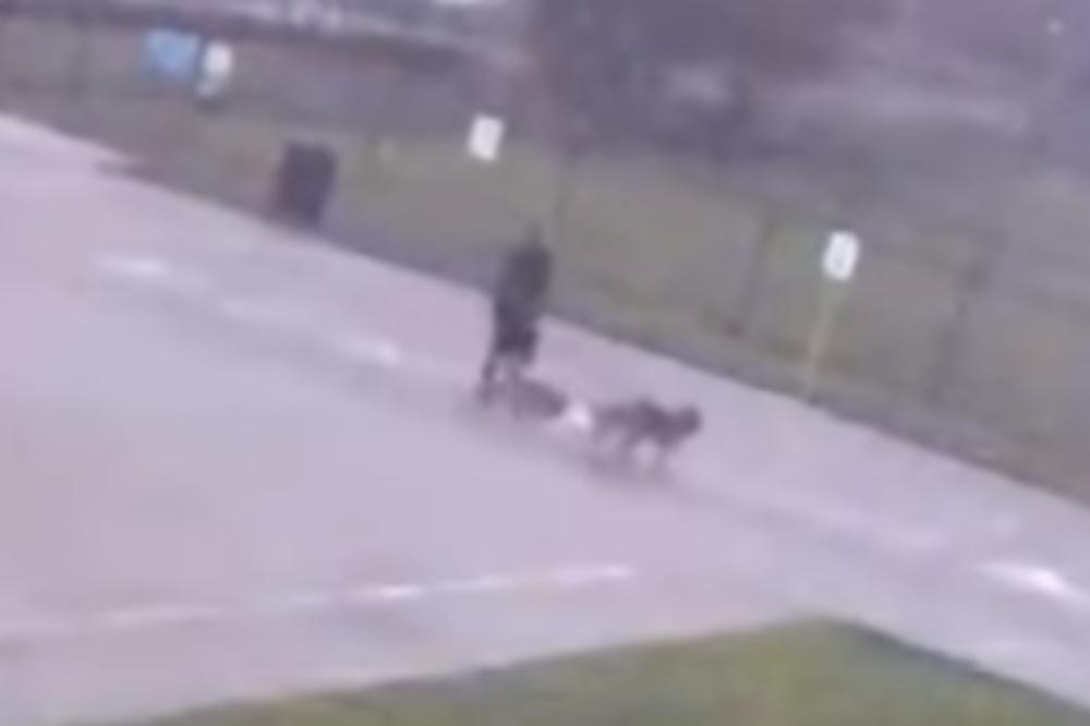 ŠETAO JE PSE, ONDA JE SAMO PAO KAO POKOŠEN! Nećete verovati šta je snašlo ovog muškarca! (VIDEO)