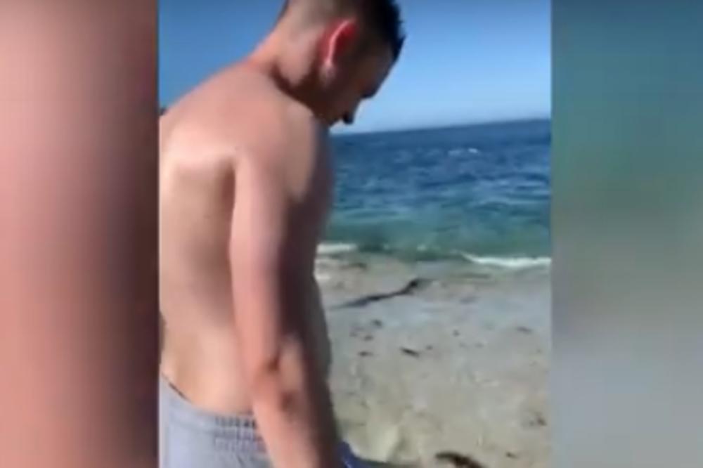 UŽIVALI SU NA PLAŽI, A ONDA PRETRNULI OD STRAHA! Iz PLIĆAKA je izronilo nešto NEOČEKIVANO (VIDEO)