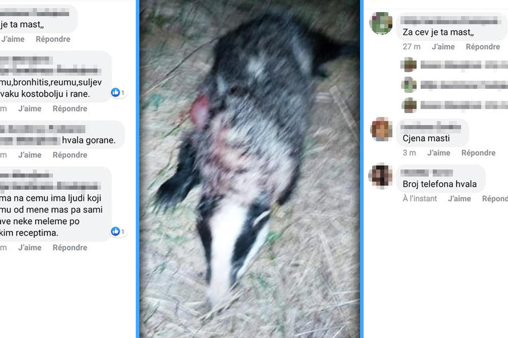 PRODAJEM MAST OD JAZAVCA, DOBRA JE ZA ŠULJEVE! Monstruozan OGLAS na Fejsbuku, Srbi masovno pitaju za CENU! (FOTO)