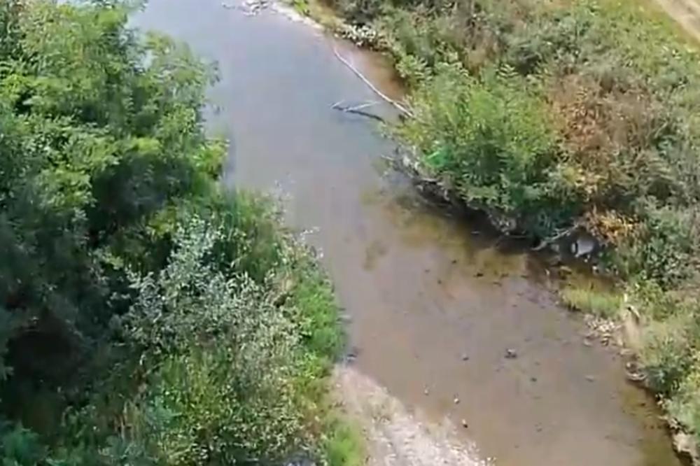 STRAVA I UŽAS U SRBIJI! Prosut težak otrov u okolini Gornjeg Milanovca, sve pomrlo! HITNE SLUŽBE NA TERENU!