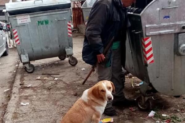 NAJPOTRESNIJA PRIČA U CELOJ SRBIJI: Glavni junaci su pas ŽUĆA i jedan stariji gospodin!