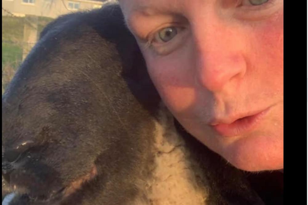 PRODALA JE JAGNJE U KLANICU, PA REŠILA DA GA IPAK SPASI: Prešla 540 km da ga nađe, susret je bio MAGIČAN (FOTO)