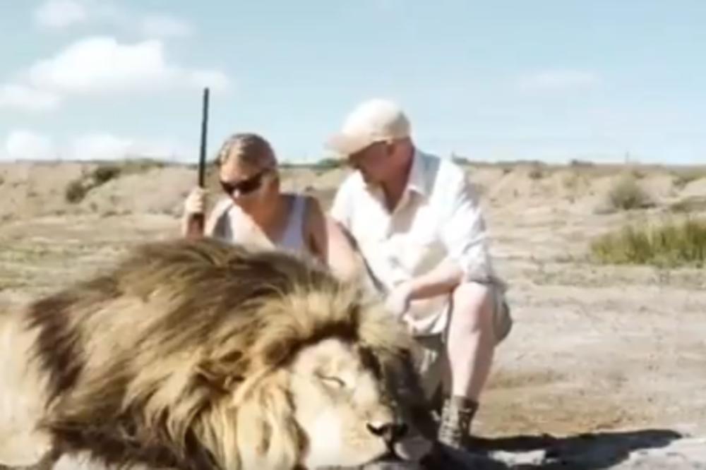 LOVCI POSTALI PLEN: Pozirali su ispred ubijenog lava, brzo ih je stigla KAZNA (VIDEO)
