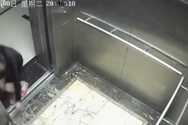 MAJKA KOJA JE RAZBESNELA SVET! Pogledajte PORAŽAVAJUĆI video koji će vam otvoriti oči! (VIDEO)