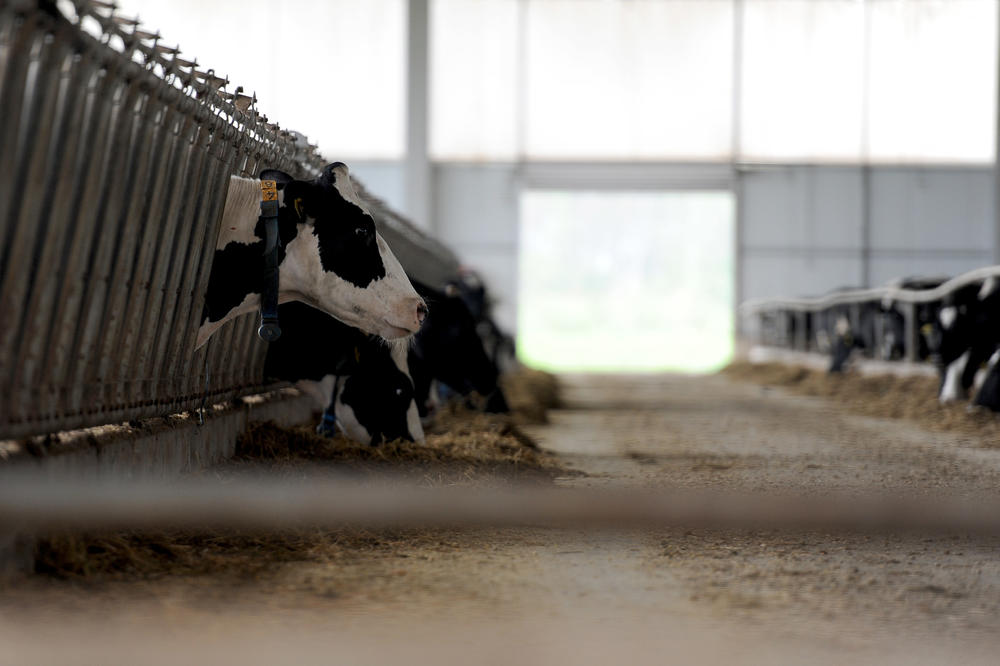 PENZIONERI PKB BLOKIRALI ZRENJANINSKI PUT: Traže akcije oduzete 2009.