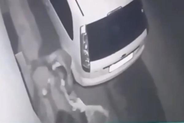 DEVOJČICE U PANČEVU BRUTALNO TUKLE VRŠNJAKINJU! Prvo su je davile, a onda kolenima UDARALE U GLAVU