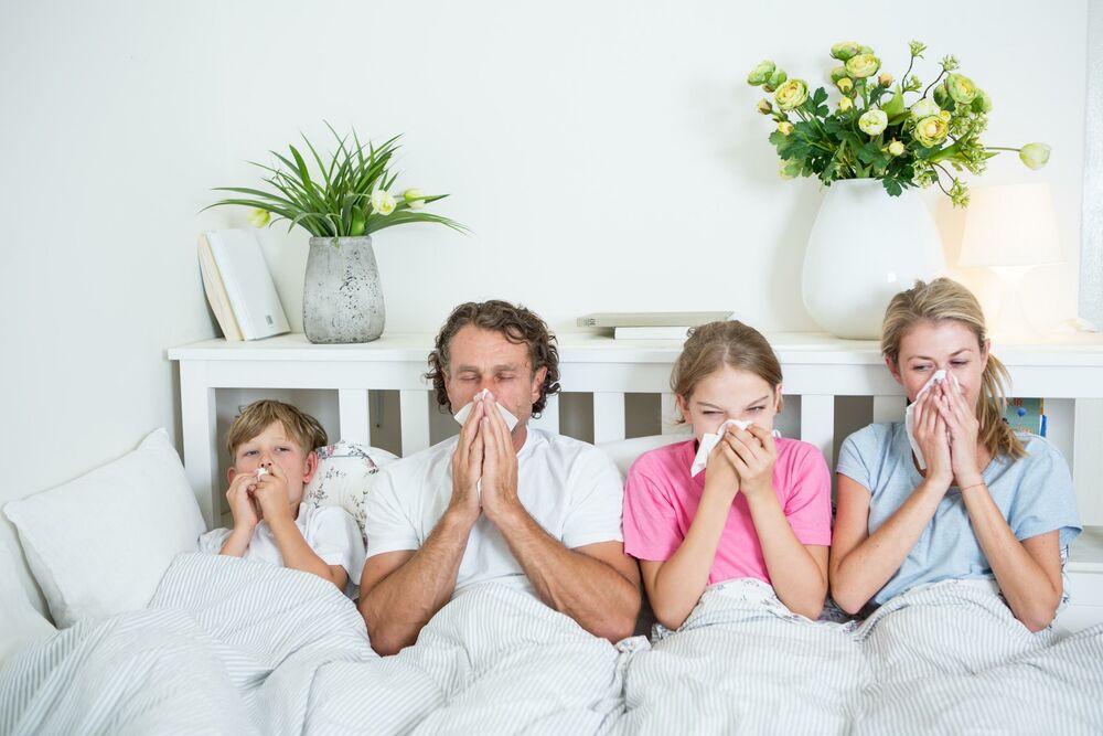 Porodica, Prehlada, Bolest, Grip, Curenje nosa