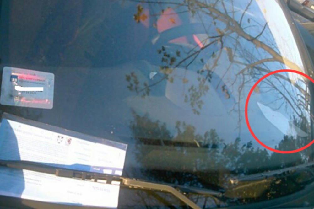 NAKON PRIČE KOJA JE RASTUŽILA SRBIJU, OGLASIO SE PARKING SERVIS! Ovo je istina o KAZNI koja nas je sve ZGRANULA