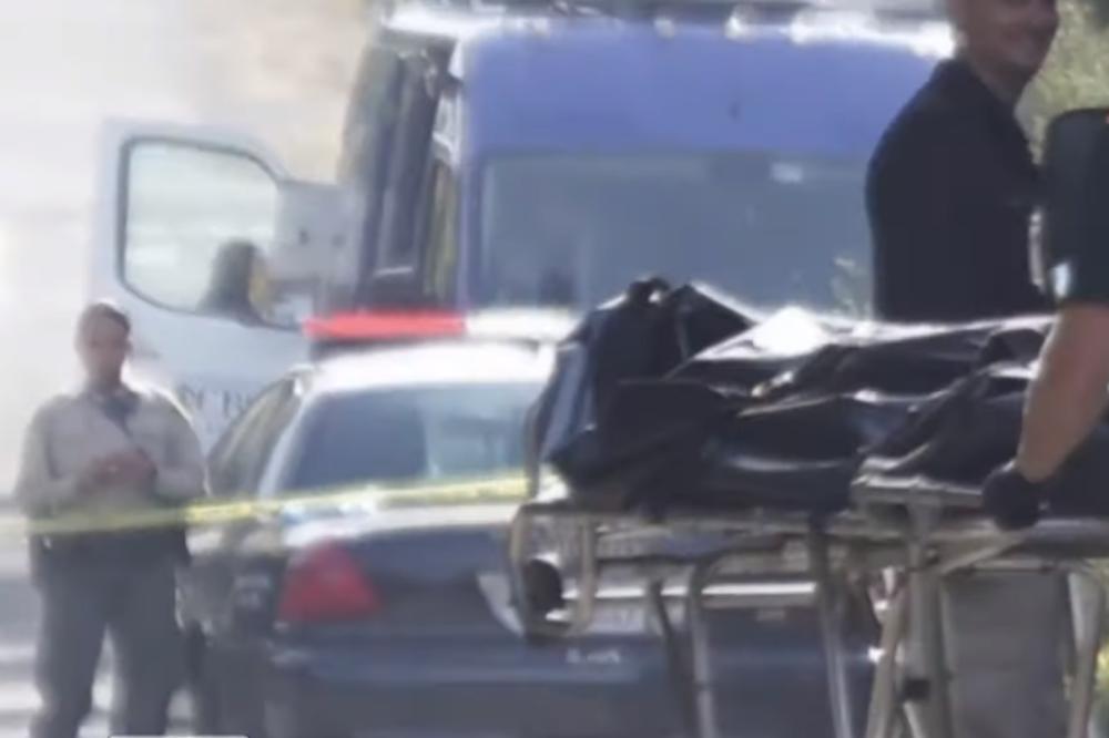 UBIO ROĐENU MAJKU: Sin OMILJENOG SVETSKOG glumca naneo joj višestruke UBODE NOŽEM, policija ga UBILA NA LICU MESTA!