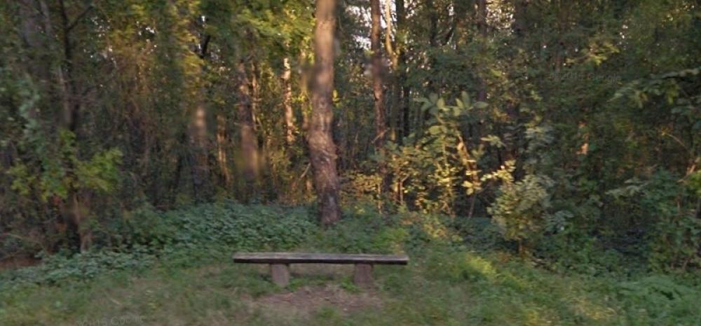 Trag bogate srpske istorije završio u žbunju za kojim se niko ne okreće: U Aleksincu otkriveno nešto jako važno!