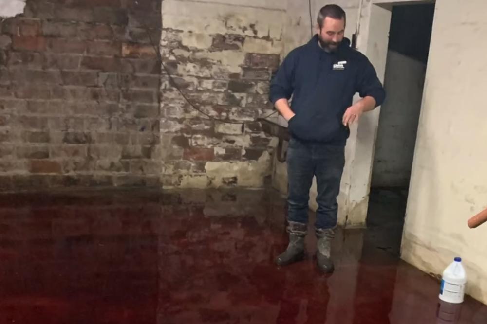 PORODICA U PODRUMU PRONAŠLA NEŠTO NAJODVRATNIJE IKAD! Morali su da se isele iz kuće (VIDEO)