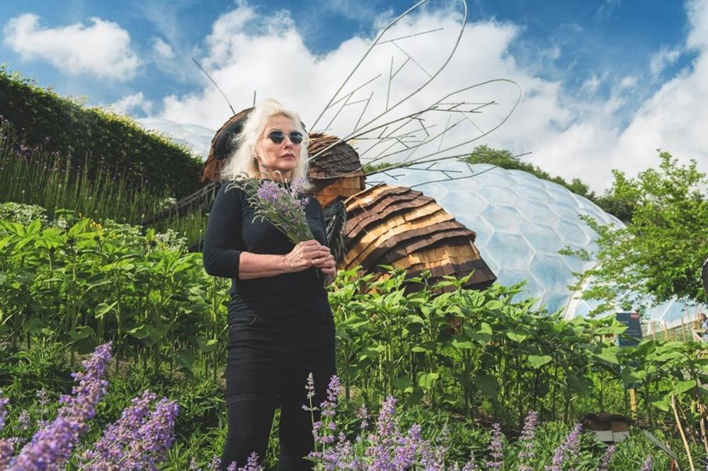 Blondie u borbi protiv istrebljenja pčela