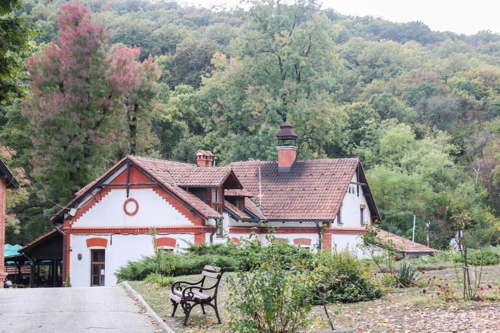 U BRESTOVAČKOJ BANJI BORAVILE SU DVE DINASTIJE: Ovo bogatstvo nalazi se nadomak BORA!