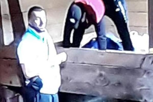 IMAM SINA LEP JE KAO SLIKA, DŽABA SVE KAD GA VOLI VLADIMIRKA! Tomović i Karić dobili LJUBAVNU PESMU