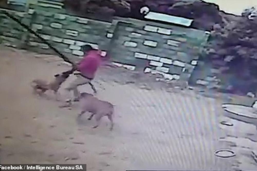 LOPOV POKUŠAO DA OPLJAČKA KUĆU: U dvorištu su ga sačekale dve OPAKE ZVERI! (VIDEO)