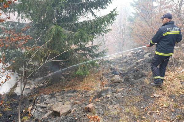 VATRA JE GUTALA STARU PLANINU, A ONDA JE POMOĆ DOŠLA BUKVALNO S NEBA: Situacija je sada BOLJA