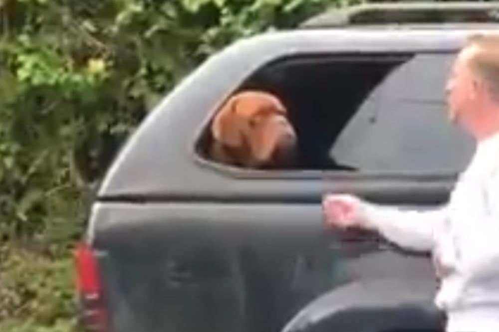 KAKAV JE OVO DRIPAC: Ovog čoveka hoće da LINČUJU zbog onog što je uradio ovom psu! (VIDEO)