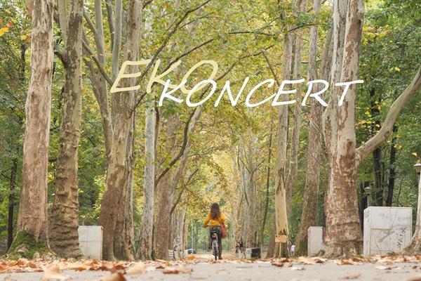 EKO-KONCERT: Konceptualni muzički performans Stanislave Jeftić Protić