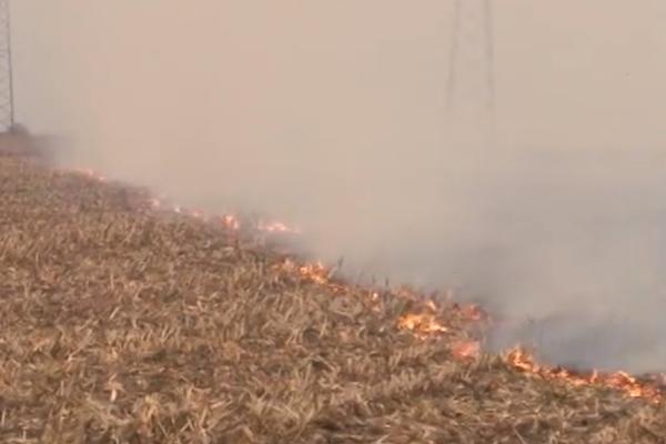 UHAPŠENI ODGOVORNI ZA ZAGAĐIVANJE SRBIJE: Policija u akciji u Sremskoj Mitrovici!
