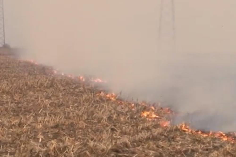 UHAPŠENI ODGOVORNI ZA ZAGAĐIVANJE SRBIJE: Policija u akciji u Sremskoj Mitrovici!