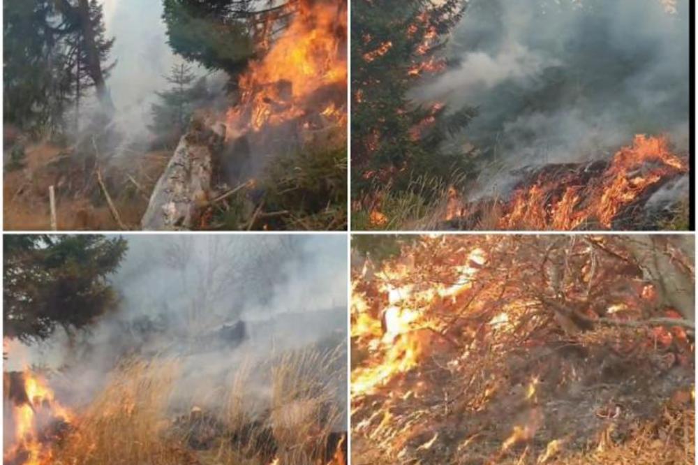 JEZIVI SNIMCI POŽARA KOJE DO SADA NISTE VIDELI! Ovako je vatra gutala Staru planinu! (VIDEO)