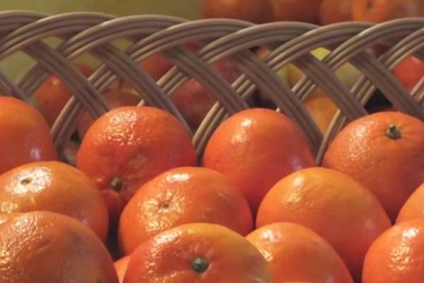 MANDARINE SE DRŽE U MREŽICAMA: Nikada nećete pogoditi koji je pravi razlog za to!