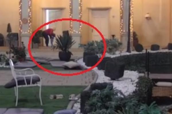 BRAT MARIJE KULIĆ JE U ZADRUZI, A VI NISTE PROVALILI! Ušao je kao Željkova DADILJA, a evo i kako izgleda!