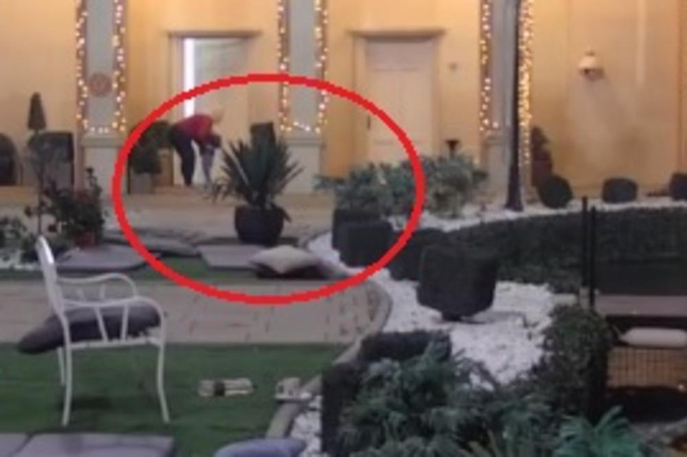 BRAT MARIJE KULIĆ JE U ZADRUZI, A VI NISTE PROVALILI! Ušao je kao Željkova DADILJA, a evo i kako izgleda!