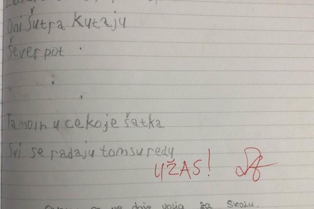 UČITELJICA JE OSTAVILA KOMENTAR NA UČENIKOV RAD: Zbog onoga što je napisala, izbio rat na netu! (FOTO)
