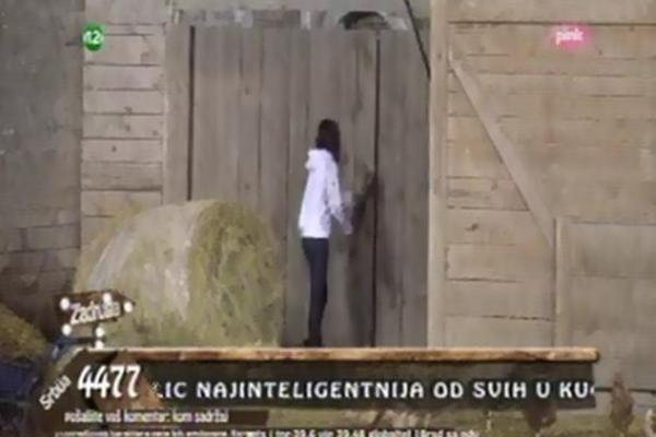 TARA SIMOV OPET IMALA NAPAD HISTERIJE: Pokušala da razvali kapiju, reagovalo OBEZBEĐENJE