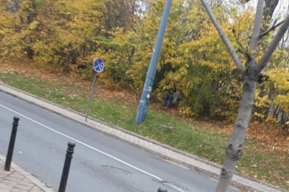 DOHVATILI SE U ŽBUNU PORED PIJACE: Građani Sarajeva snimili par u zanosu usred bela dana (VIDEO)