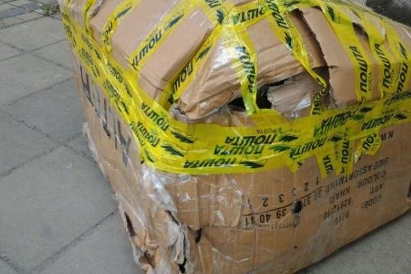 SRPKINJA DOBILA POKLON IZ AMERIKE OD ROĐAKE, OVO JE TEŠKA SRAMOTA! Kada je stigao, umalo se svi nisu ŠLOGIRALI