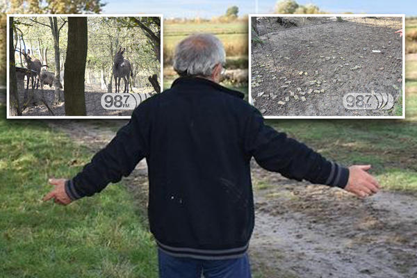 NJEGOV MAGARAC JE UBIJEN S DVA, A PONI S JEDNIM METKOM! Petar 3 dana nije mogao da DOĐE SEBI KAD IH JE VIDEO MRTVE